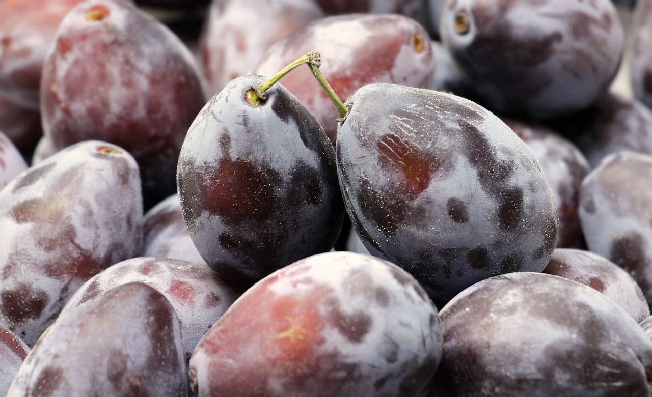 plums-3641812_1280