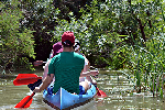 Canoe trip on Lake Tisza