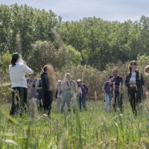 5P2A6331-Avec accentuation-Bruit