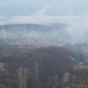 IMG_3046-1024x682